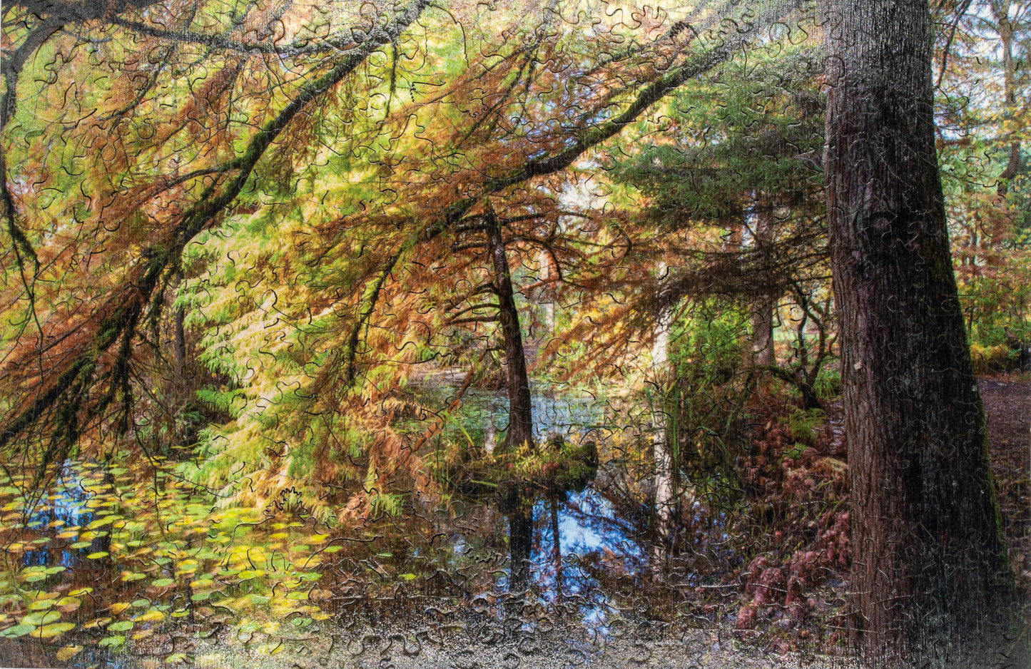 Forêt enchantée