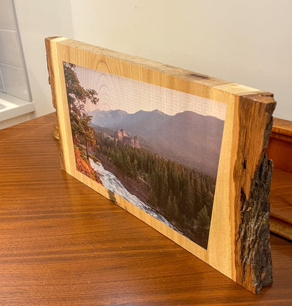 Wood Slice Photo with Bark Edge