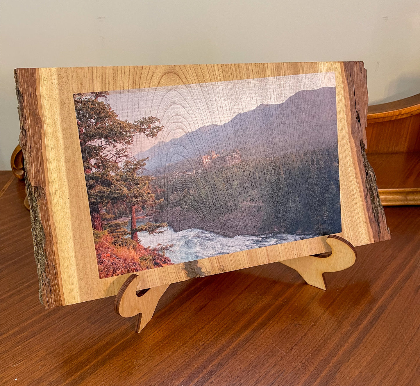 Photo d'une tranche de bois avec un bord d'écorce