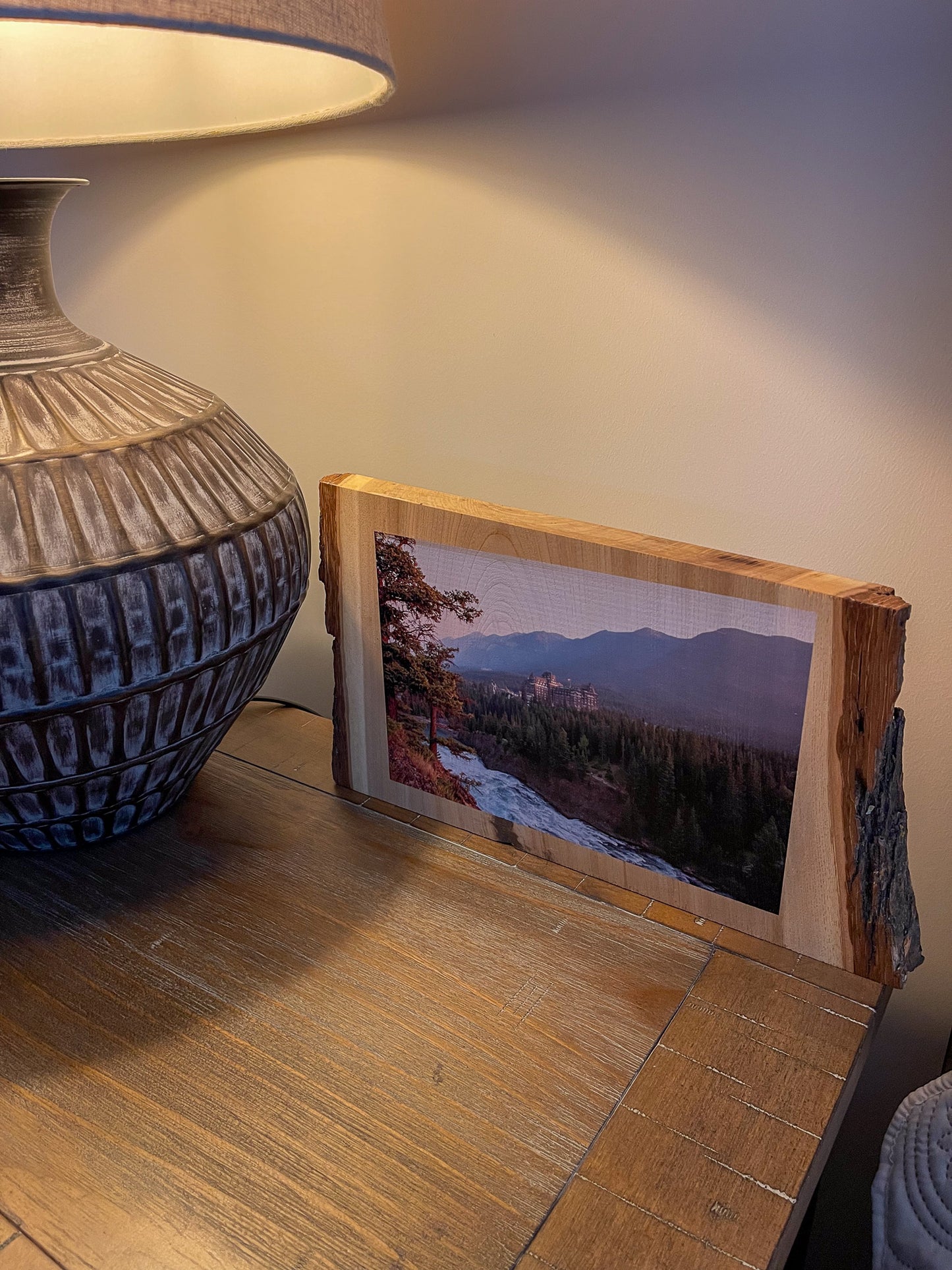 Photo d'une tranche de bois avec un bord d'écorce