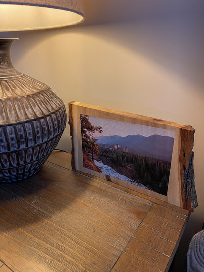 Photo d'une tranche de bois avec un bord d'écorce