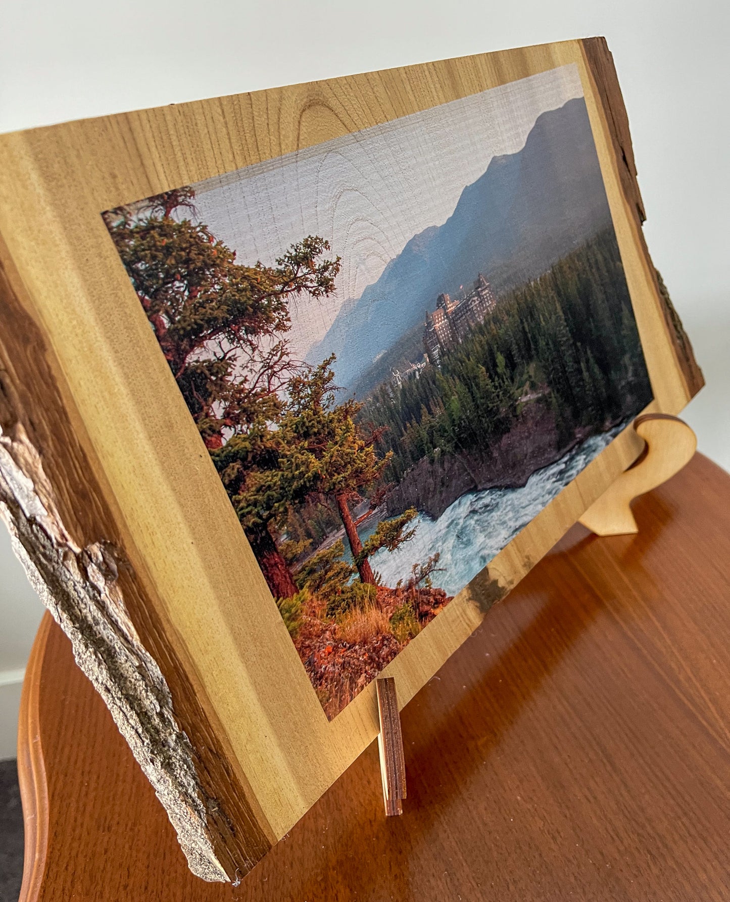 Photo d'une tranche de bois avec un bord d'écorce