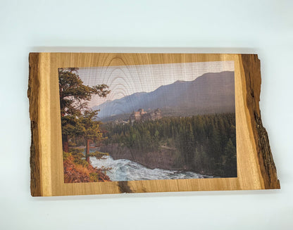 Wood Slice Photo with Bark Edge